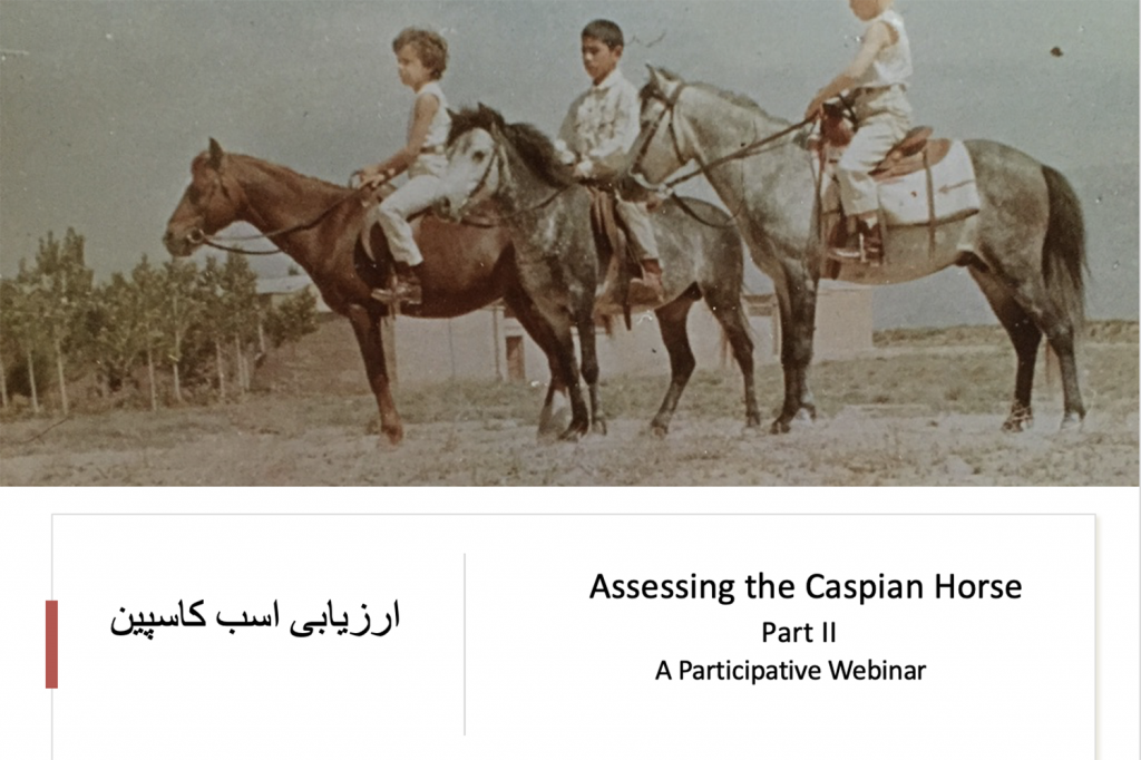 Part II of Assessing the Caspian Horse was held