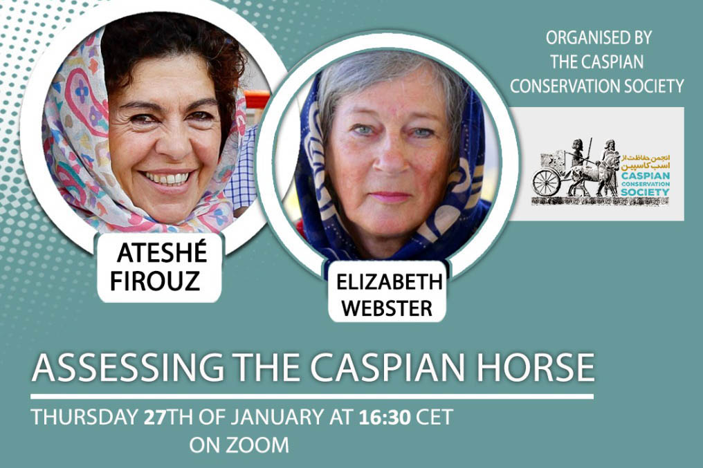 Assessing the Caspian horse webinar