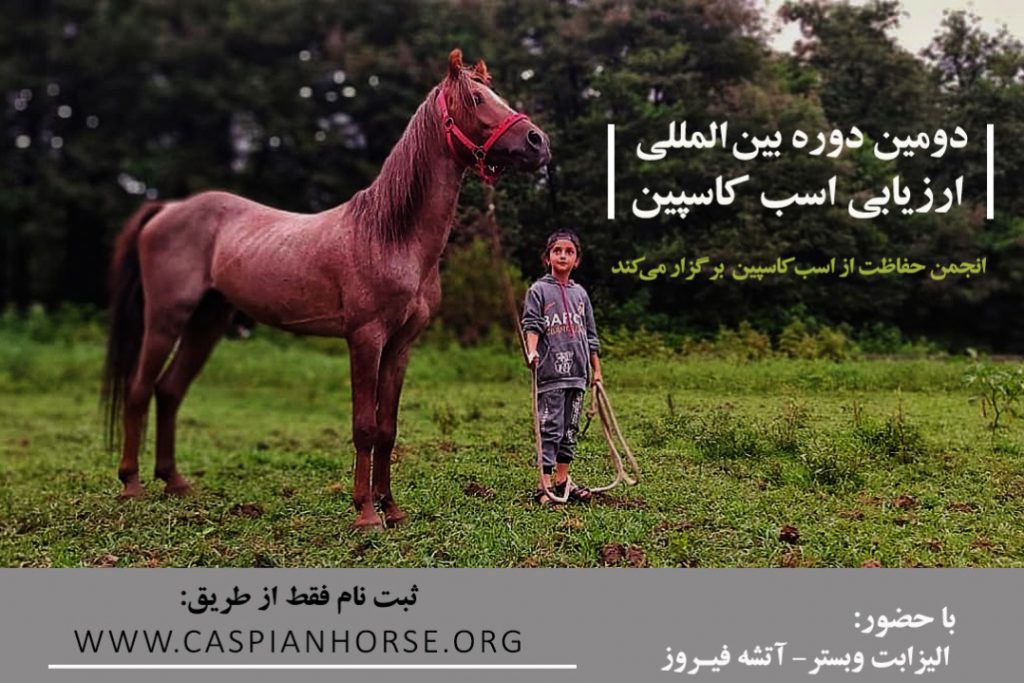 دومین دوره بین المللی آموزش ارزیابی اسب کاسپین